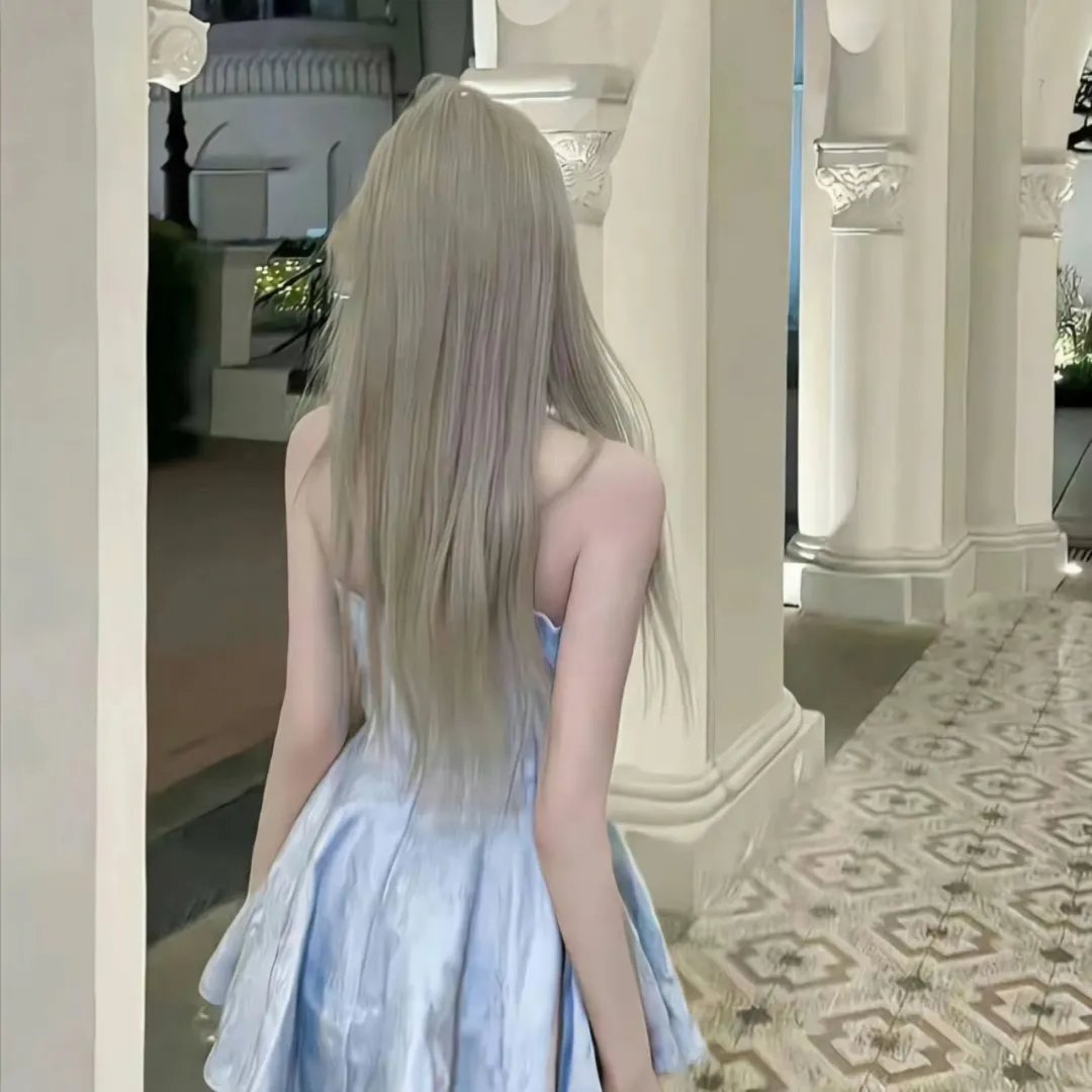 鸽之翼